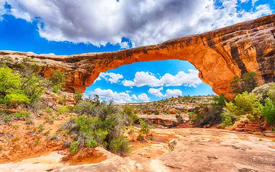 Natural Bridges National Monument Travel Insurance